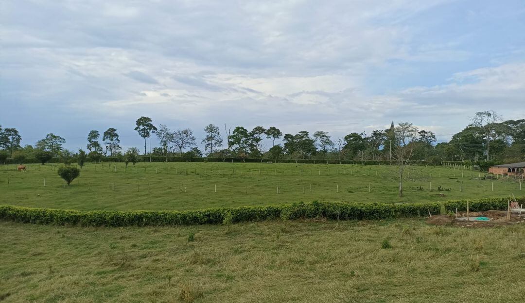 Los hermosos paisajes del Quindío, corregimiento de Pueblo Tapao, Montenegro, Quindío