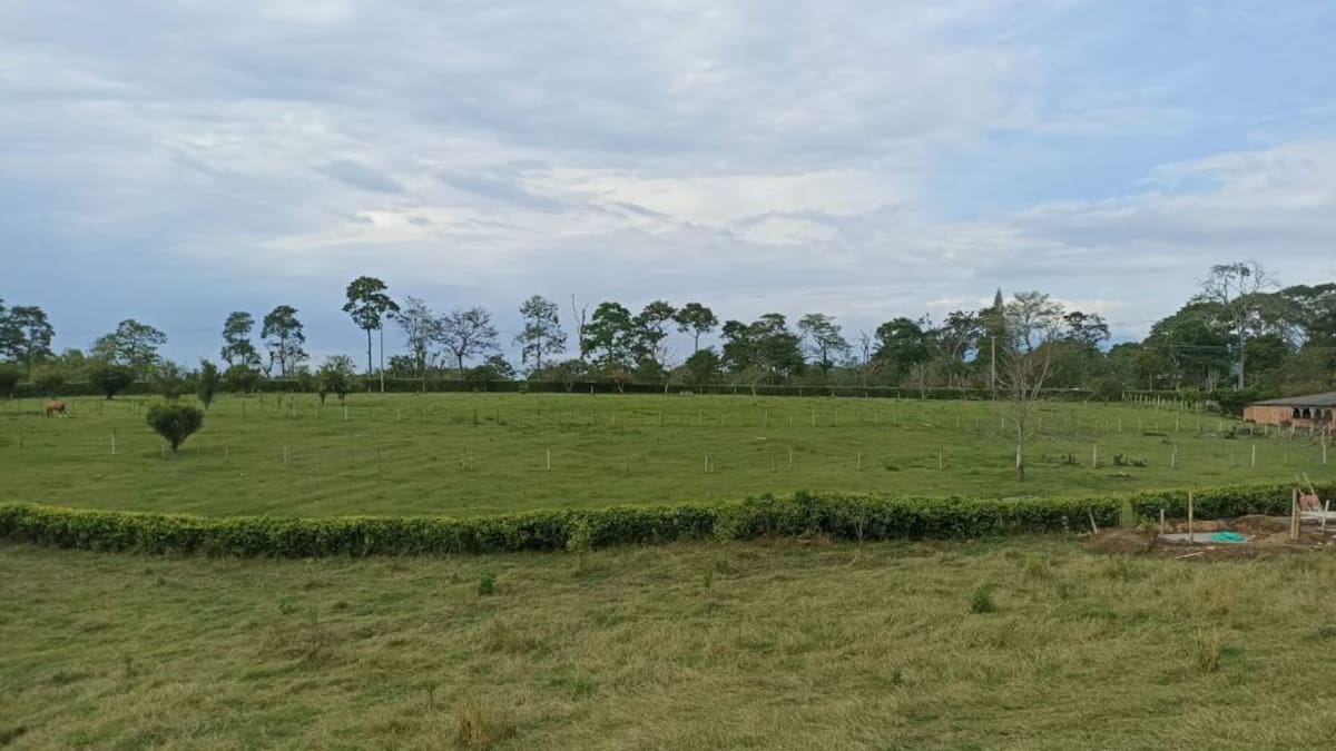 Lunes 19 de septiembre, las noticias más importantes de Armenia y Quindío