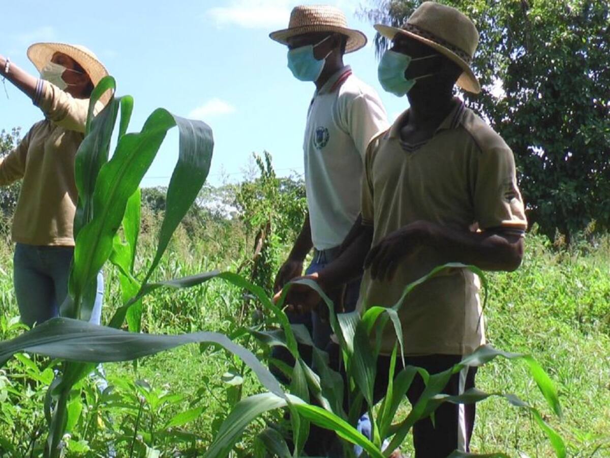 MinEducación destacó Proyecto Pedagógico Productivo en María La Baja