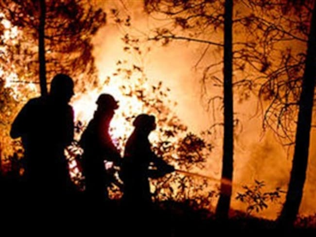 Incendios forestales afectan 500 hectáreas de bosque en todo el país