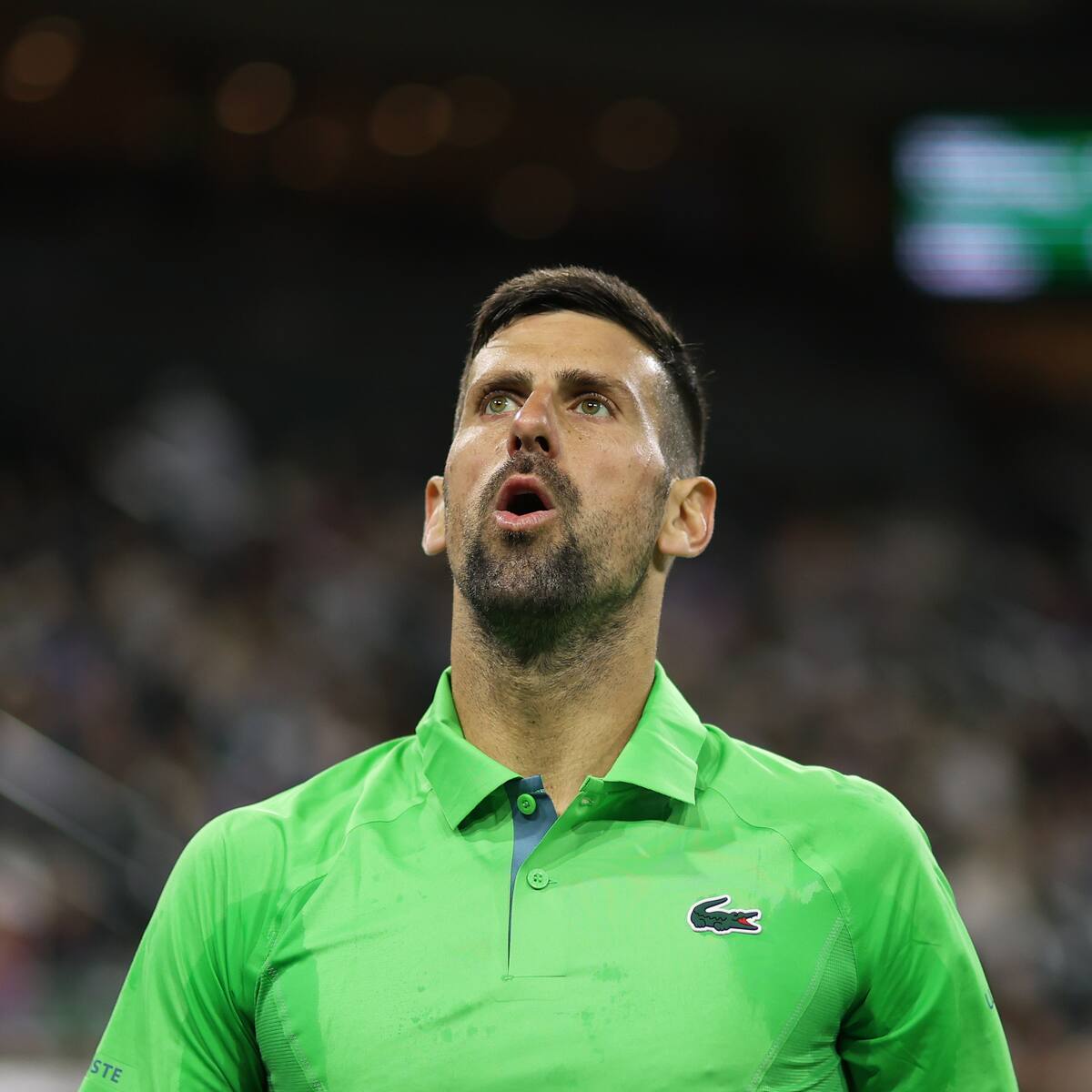 Bomba: Novak Djokovic sufre histórica derrota en Indian Wells frente al 123° del mundo
