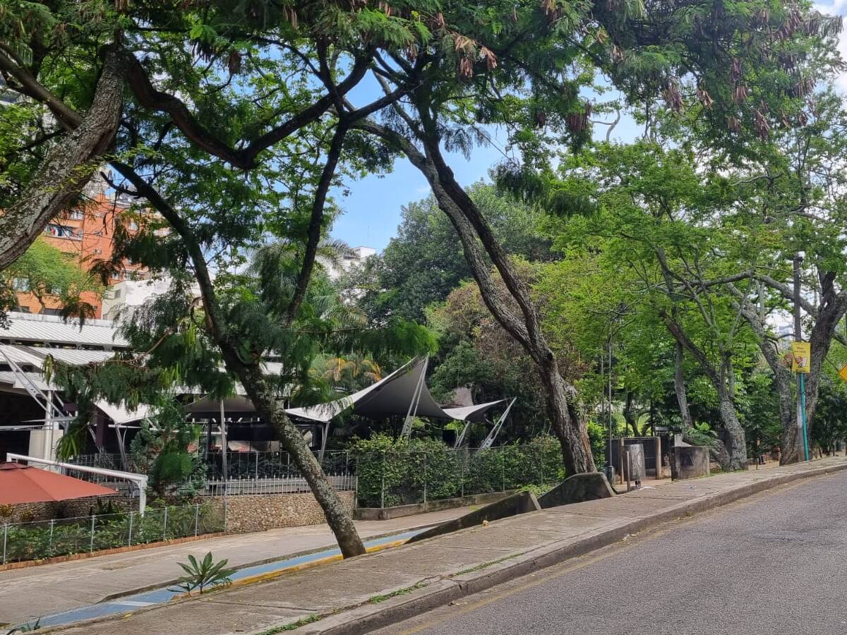 Fallo de acción popular ordena devolver la Concha Acústica