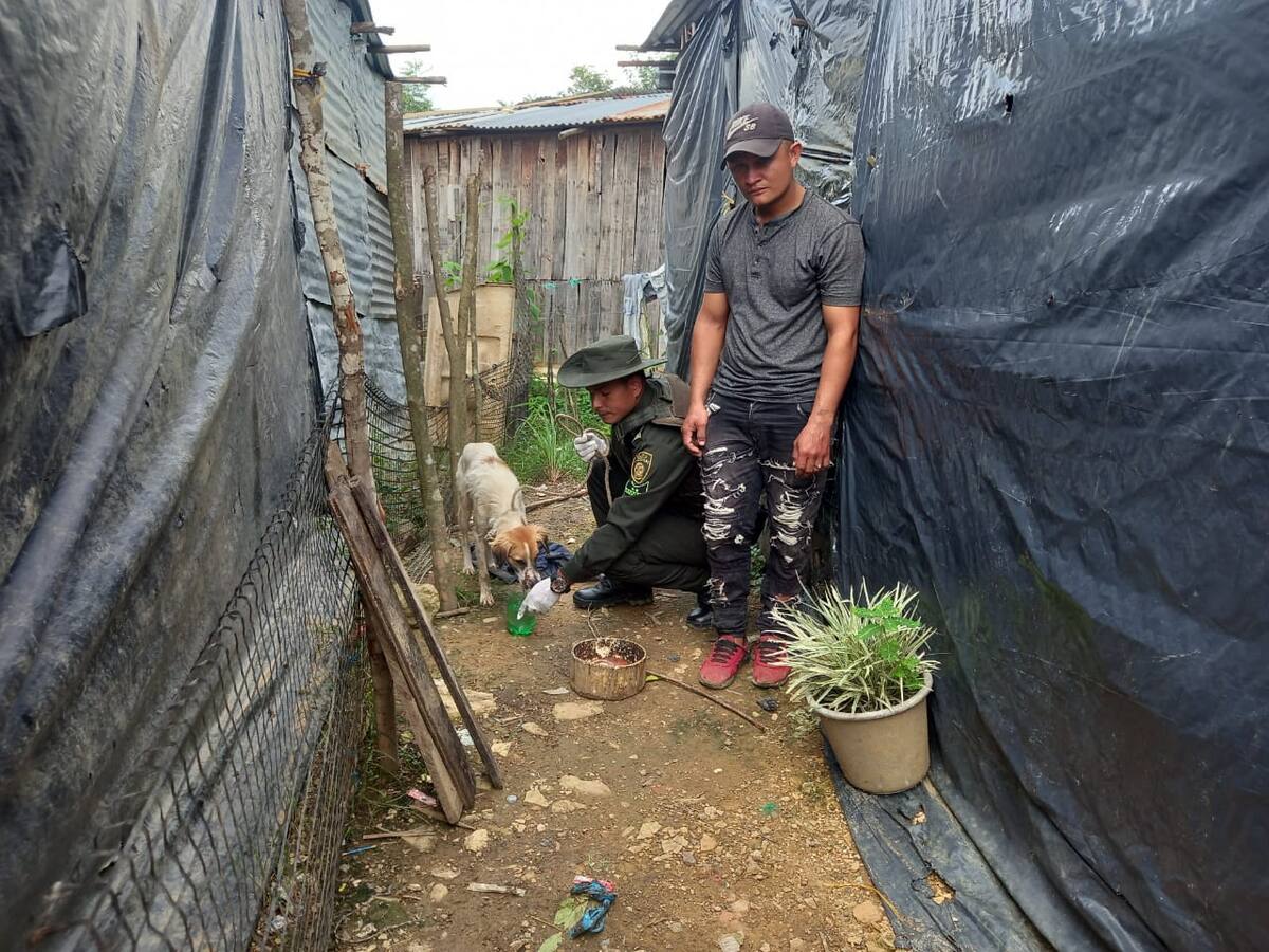 Hombre le dio varios machetazos a un perro por haberlo mordido