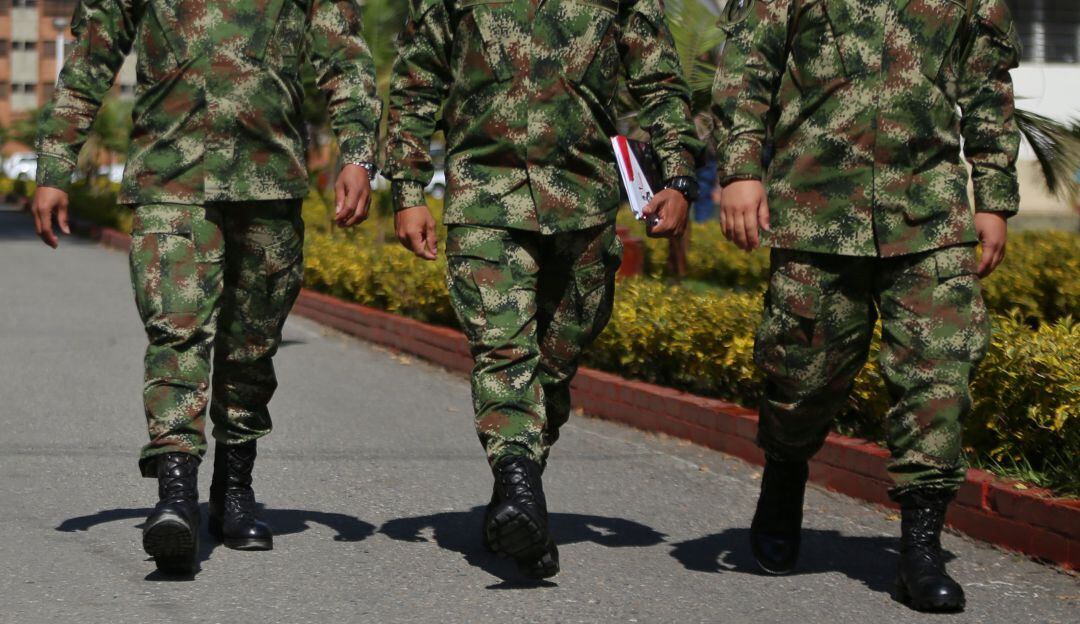 Imagen de referencia.