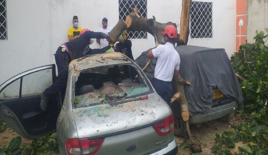Estragos de los fuertes vientos en Soledad.