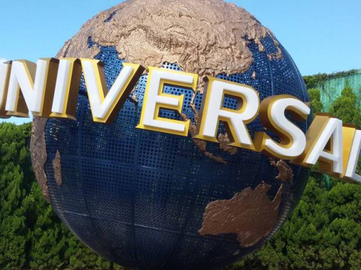Tremendo susto que se llevó una mujer en un parque de diversiones