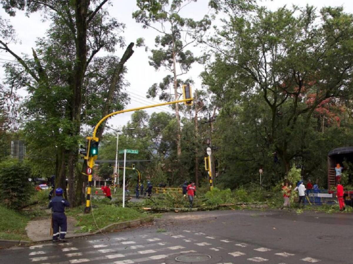 Fallo del Consejo de Estado frena las obras de Metroplus en Envigado