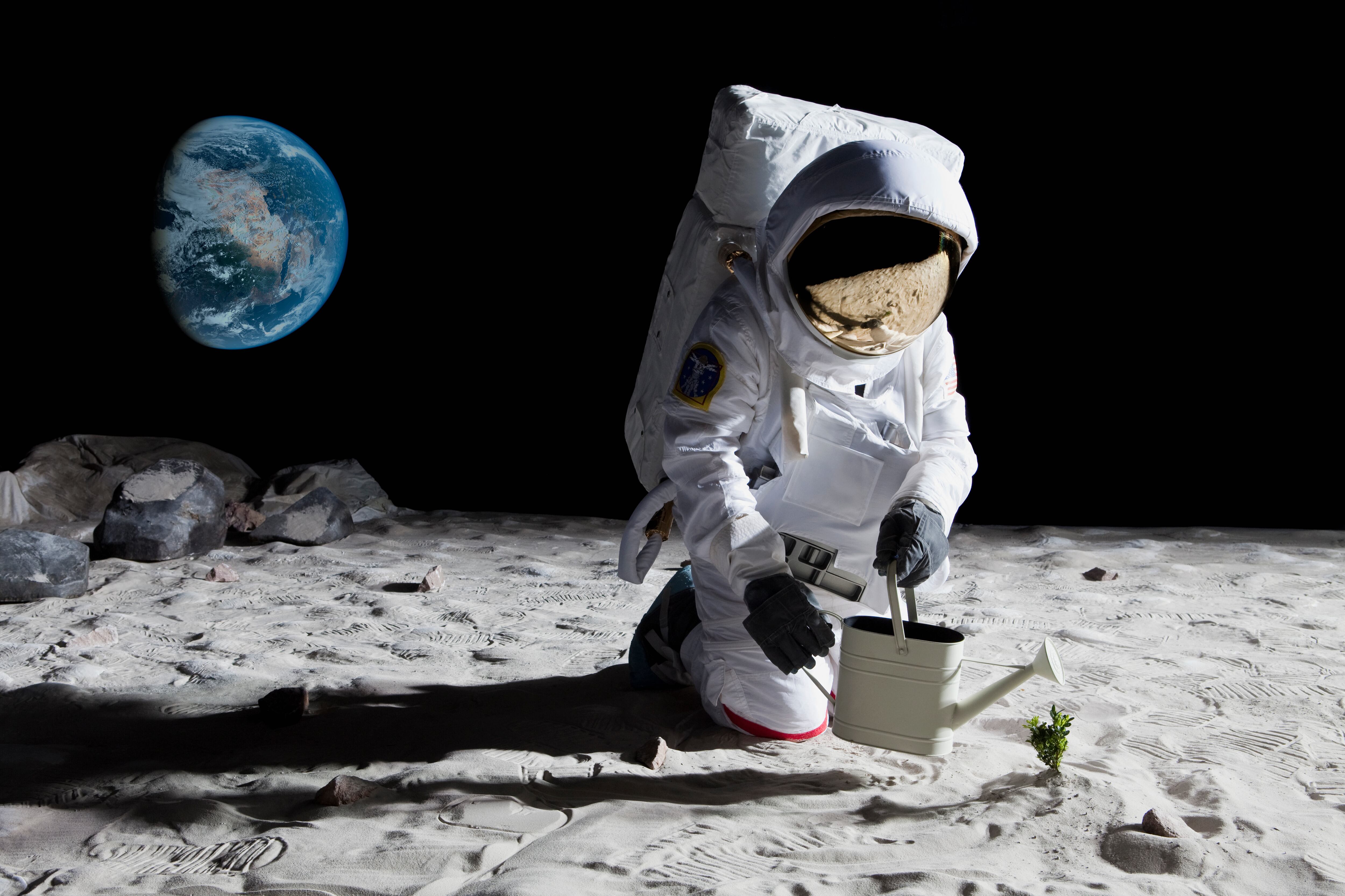 Imagen de referencia sobre la presencia de agua en la Luna. / Getty Images