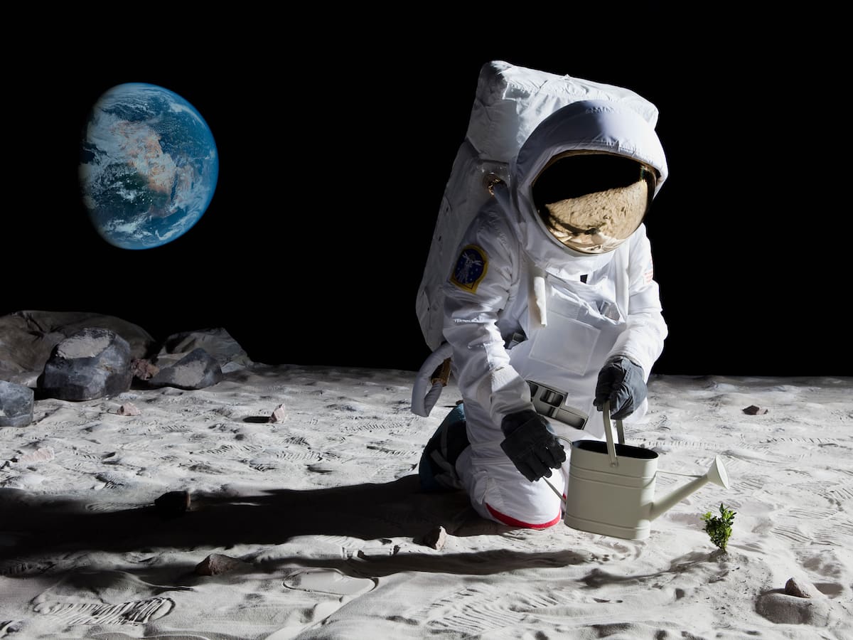 Un amanecer cada 90 minutos: así es la vida de los astronautas en el espacio