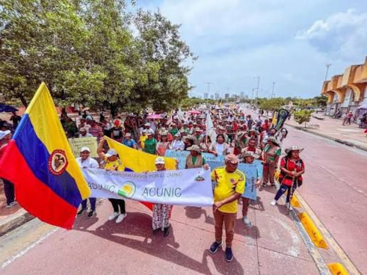 Jurisdicción Agraria: Organizaciones sociales y campesinas convocan a movilización este 20 de mayo