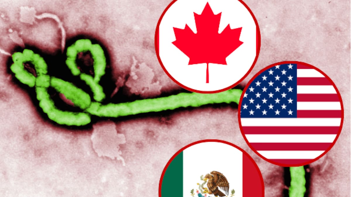 México, EE. UU. y Canadá coordinan protocolos para el Mundial por brote de ébola
