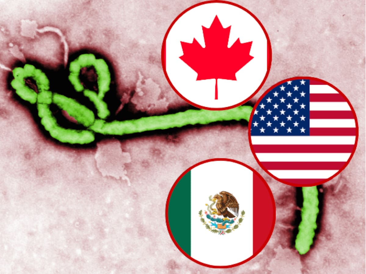 México, EE. UU. y Canadá coordinan protocolos para el Mundial por brote de ébola
