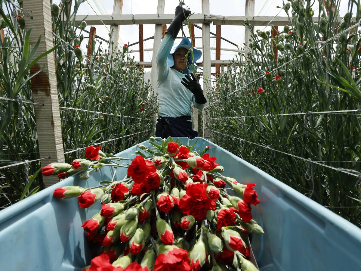 El ICA adopta medidas para agilizar el comercio exterior