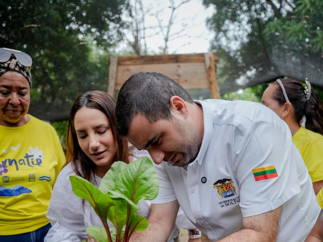 Productos de patios productivos de Matié, listos para ser comercializados