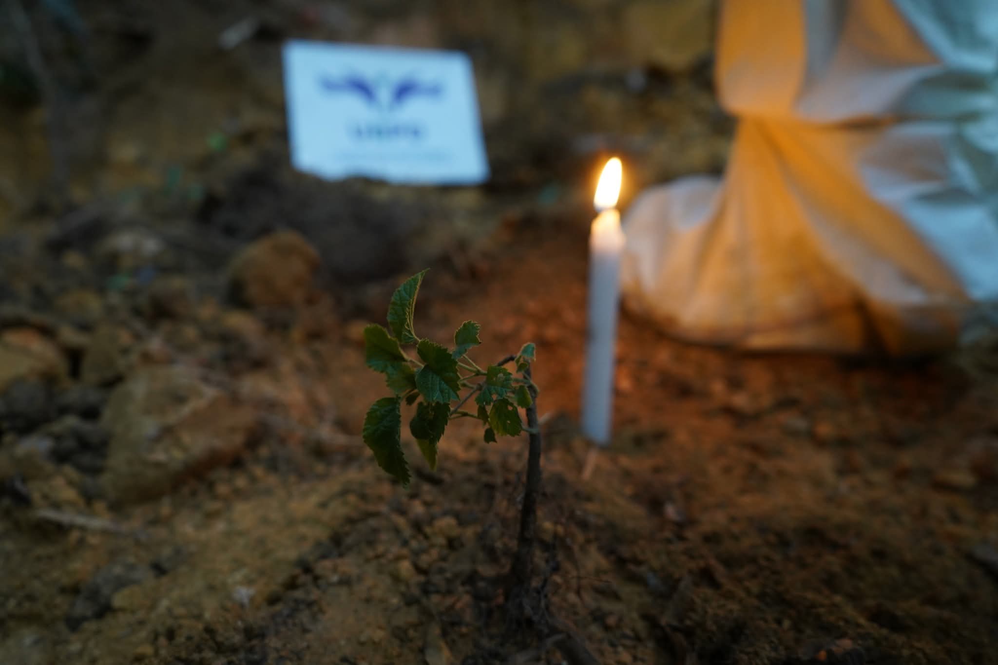 Acciones forenses y encuentros con familiares hacen parte del trabajo adelantado por la Unidad de Búsqueda en el sur del país durante 2025.