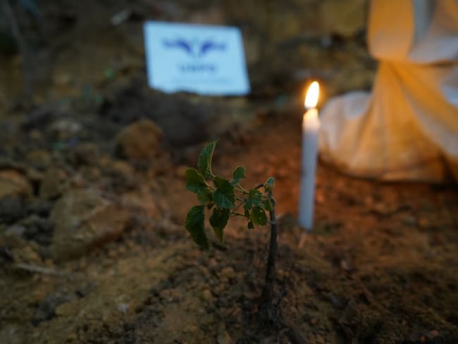 Acciones forenses y encuentros con familiares hacen parte del trabajo adelantado por la Unidad de Búsqueda en el sur del país durante 2025.