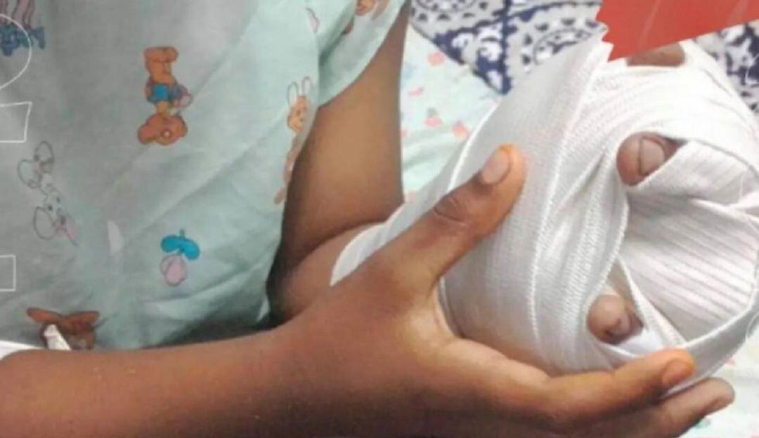 Imagen de referencia