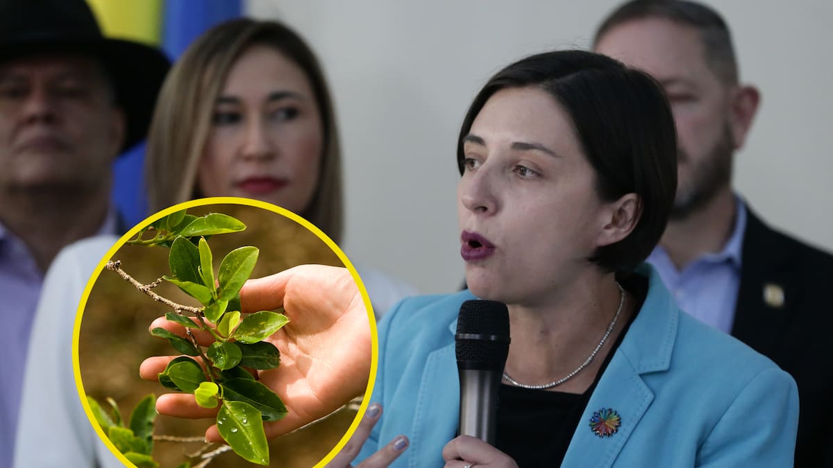 Colombia será sede de la II Conferencia Internacional de Reforma Agraria: MinAgricultura