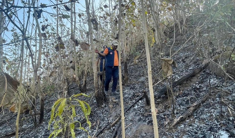 Incendio forestal en Canalete, Córdoba.