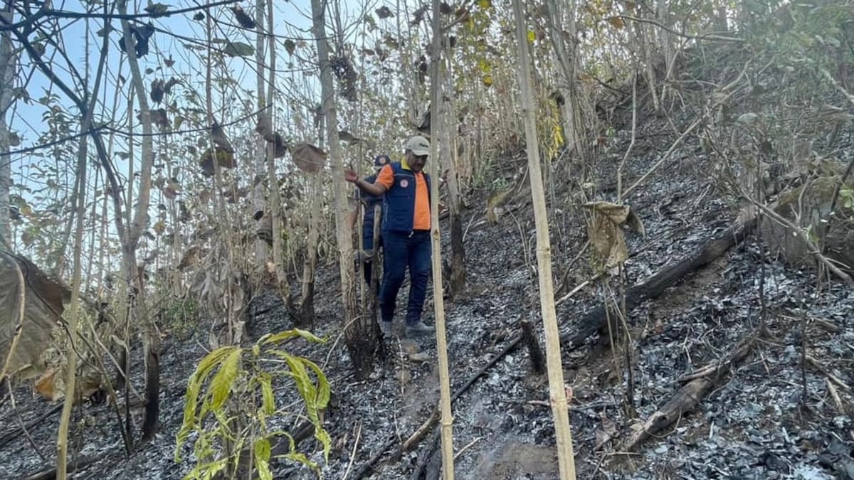 Un incendio forestal afectó cerca de 60 hectáreas en Canalete, Córdoba