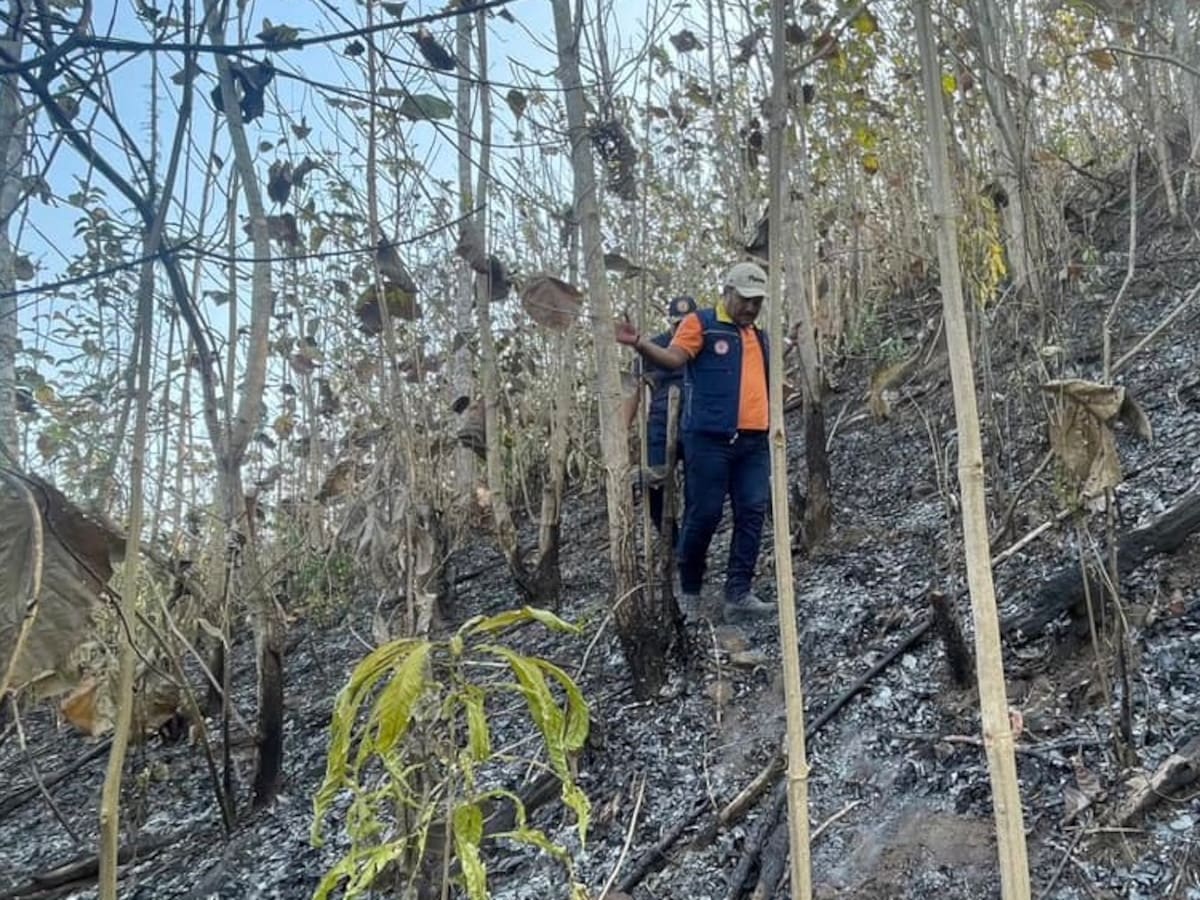 Un incendio forestal afectó cerca de 60 hectáreas en Canalete, Córdoba