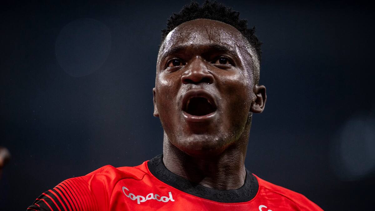 ¡Paranaense regresa al Brasileirao! Estos son los cinco colombianos que protagonizaron el ascenso