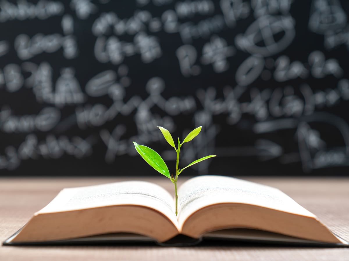 ¿Cómo está Colombia en educación para el desarrollo sostenible?