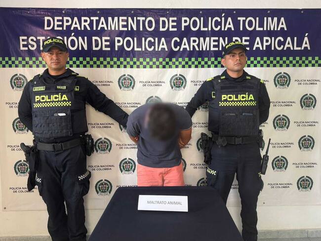 Indignación en el Tolima: joven mató a machetazos a una perrita