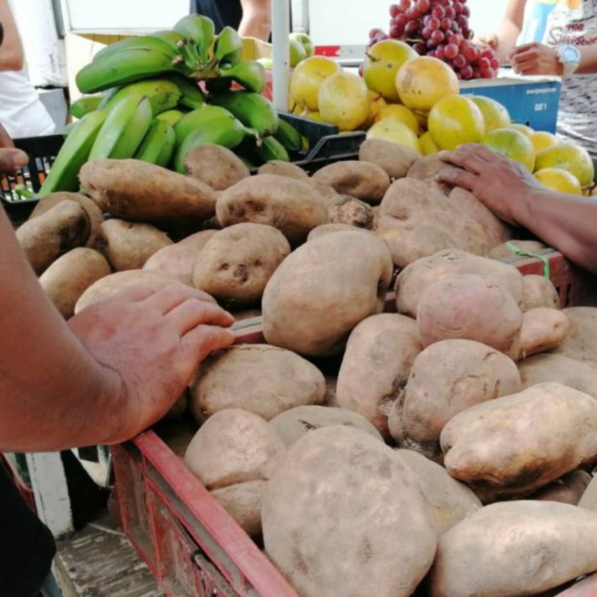 La falta de gasolina también encarece el precio final de los alimentos