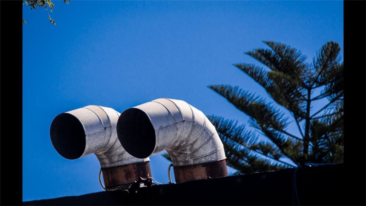 Vamos a las islas Galápagos, donde un lobo marino se acercó a descansar al lado de Paulina Badillo.