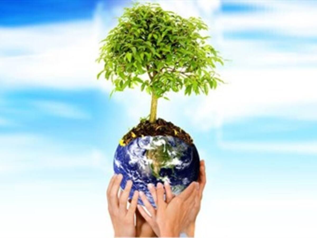 Disfrute la Semana Ambiental en Bogotá