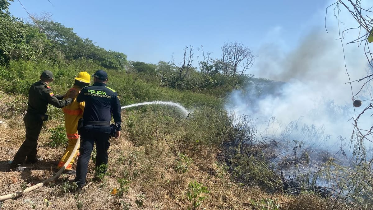 Autoridades controlaron incendio forestal en San Fernando, Bolívar