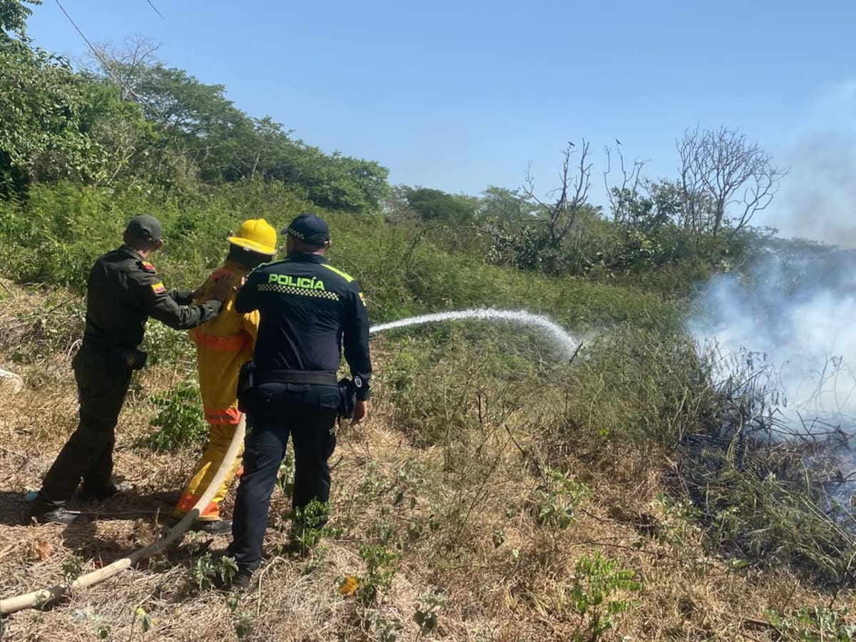 Autoridades controlaron incendio forestal en San Fernando, Bolívar
