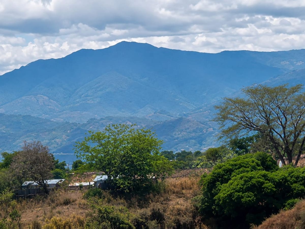 Un muerto y dos heridos en combates entre grupos ilegales en el sur del Cauca