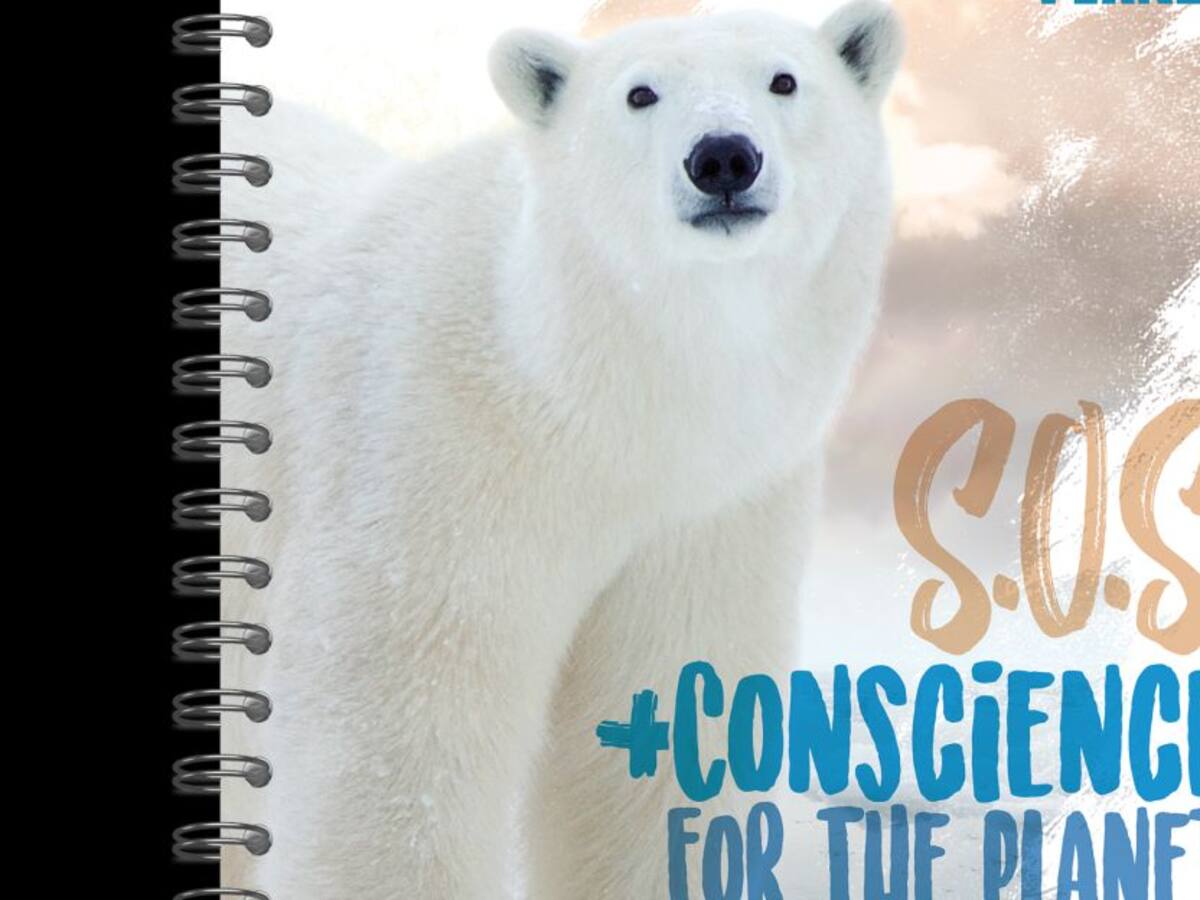 Un papel amigable con el planeta hecho de fibra virgen de caña de azucar