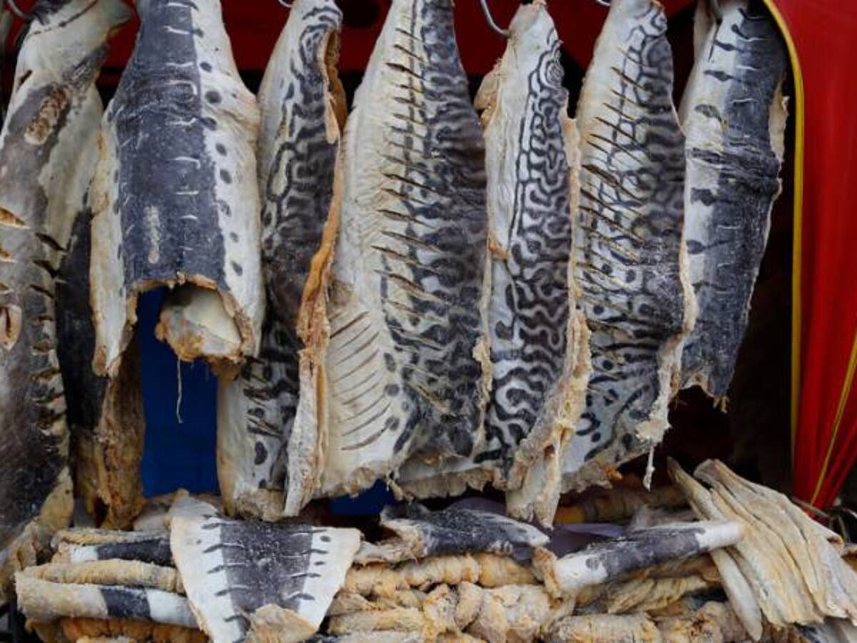 A pesar del fenómeno de El Niño habrá suficiente pescado para Semana Santa