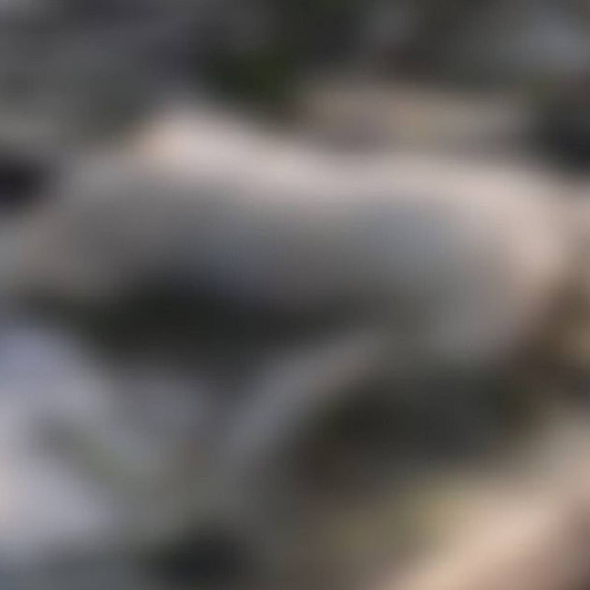 Encontraron tres cuerpos en la rivera del Cauca en Caldas
