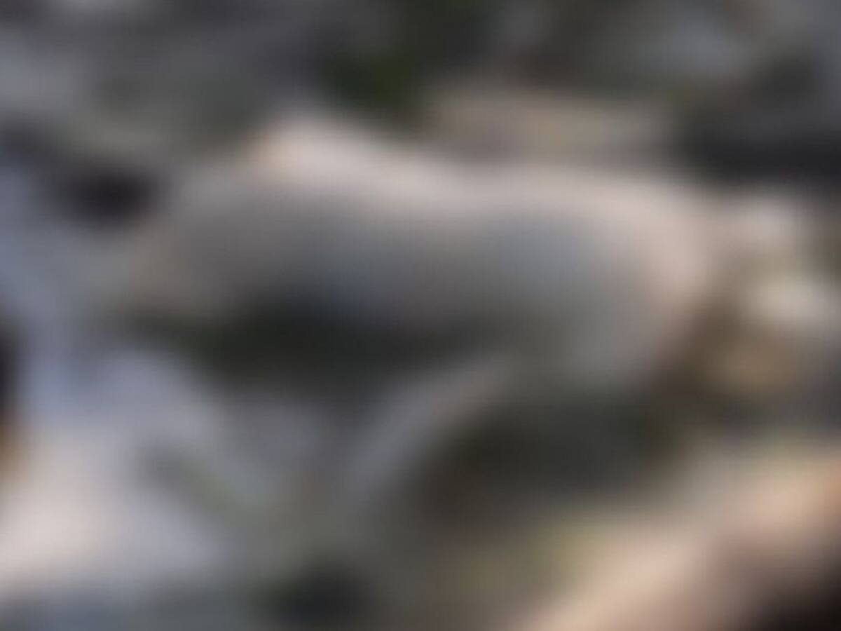 Encontraron tres cuerpos en la rivera del Cauca en Caldas