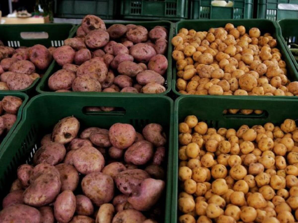 Fenalco denuncia incrementos de precios hasta del 100% en canasta familiar