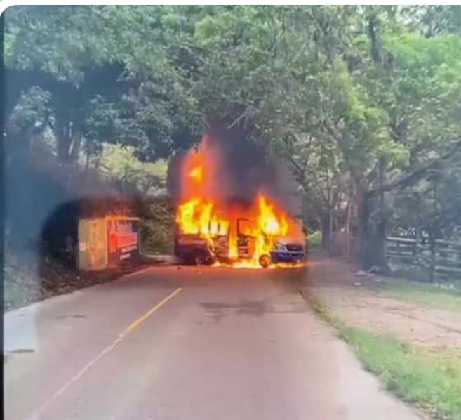 24 despachos diarios, lo que indica que son cerca de 50 a 60 vehículos.