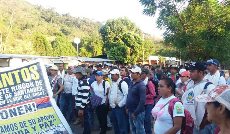 Concentración de arroceros en el sector de Pedregales, Norte de Santander.