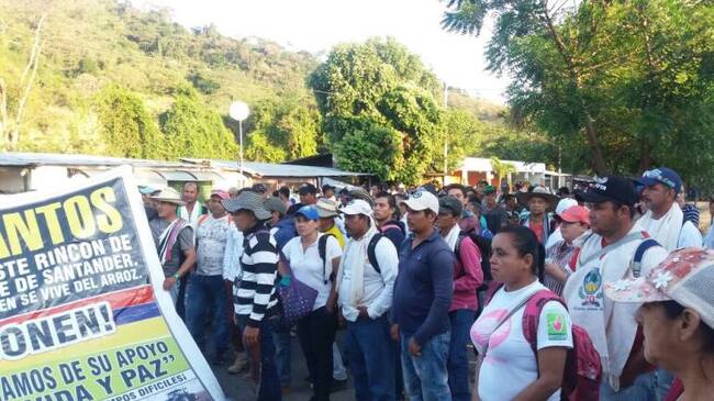 Concentración de arroceros en el sector de Pedregales, Norte de Santander.