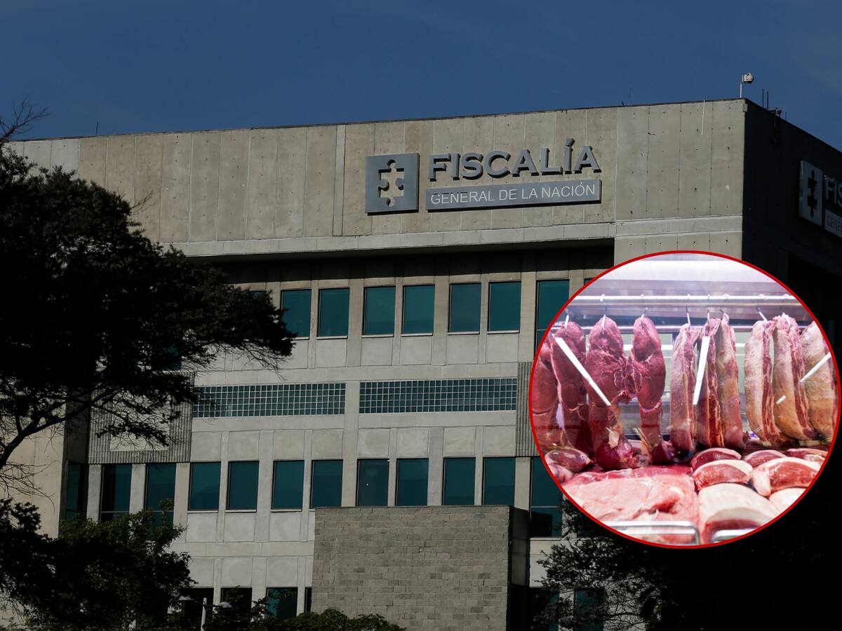 Judicializan a 2 hombres por vender carne de animales enfermos o muertos hace varios días en Boyacá