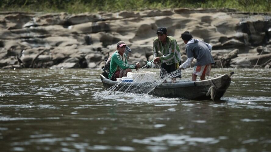 Piden tumbar facultad del Gobierno para administrar recursos del agro y la pesca. Foto: Colprensa