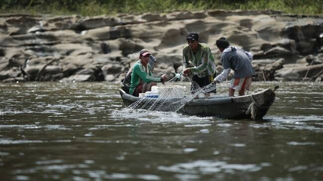 Piden tumbar facultad del Gobierno para administrar recursos del agro y la pesca. Foto: Colprensa