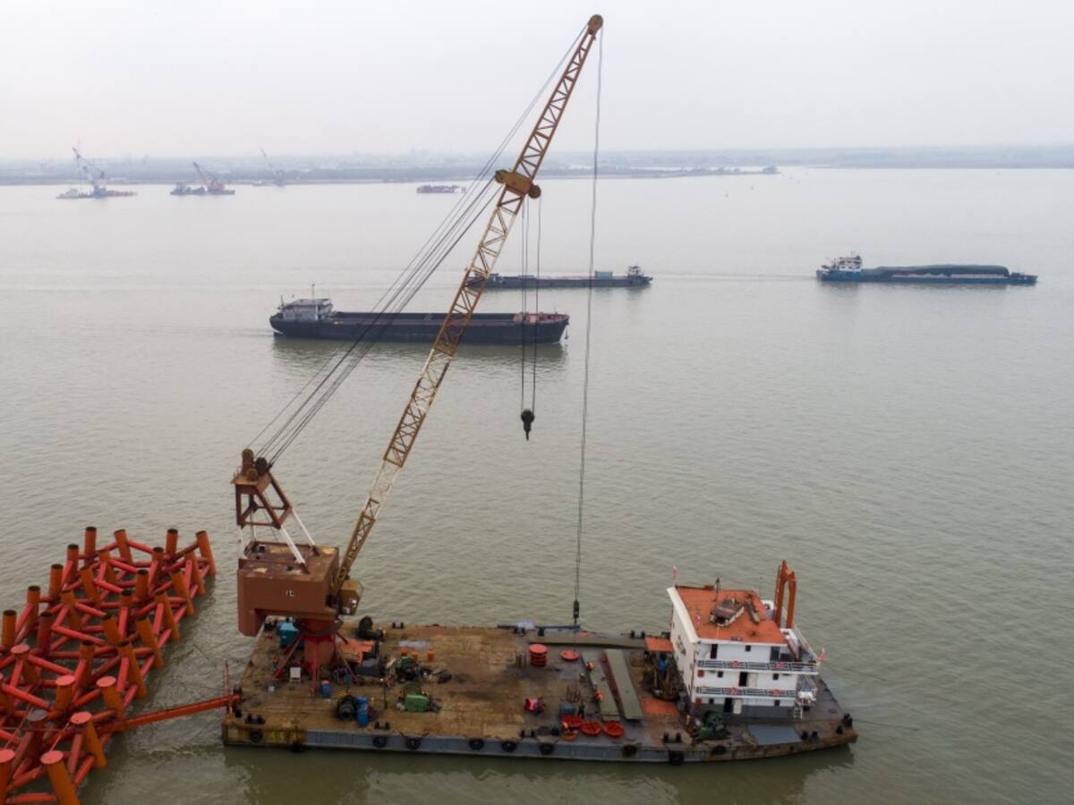 ¡Empezó el 2020! Declarado extinto pez remo gigante