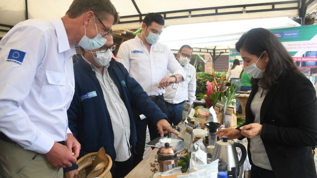 Desde Granada, Antioquia, campesinos emprendedores exportan café