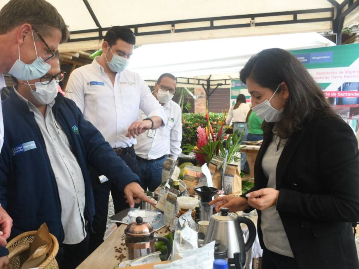 Desde Granada, Antioquia, campesinos emprendedores exportan café