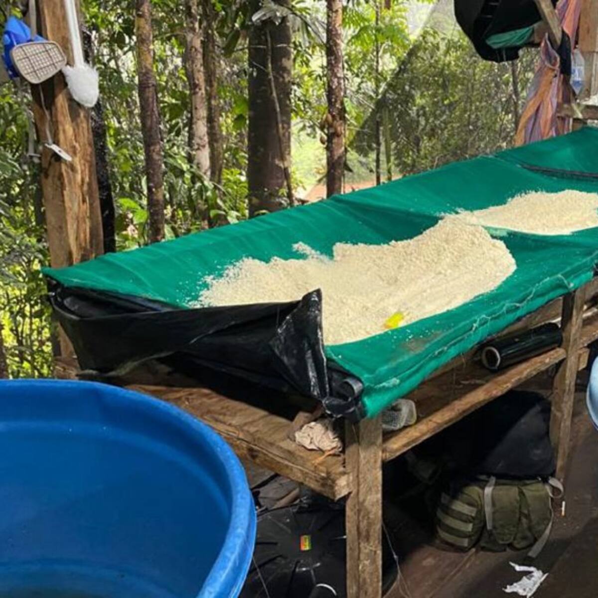 En Putumayo ubican millonario laboratorio cocalero