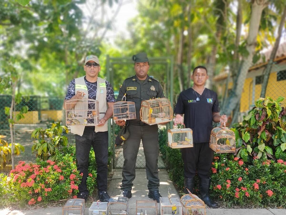 Dos capturados y 21 aves silvestres recuperadas dejaron operativos en Bazurto